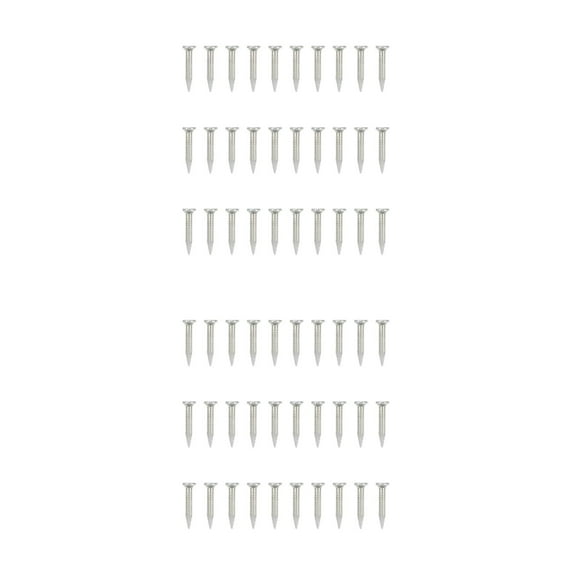 Worgeous 620 pcs Point Tip Cement Nails Galvanized Hardened Nails Concrete Wall Steel Nail