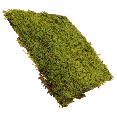 Artificial Grass Turf Mat 2M X 1M Indoor Outdoor Pet Faux Synthetic