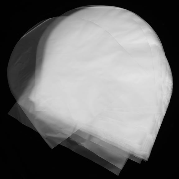 Worgeous Clear CD Protector Made from LLDPE Material for Safe CD Storage Compatible with 30cm