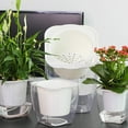 thumbnail image 1 of Worgeous  Clear Decorative Planter Self Watering Pot Indoor Pots White, 1 of 8