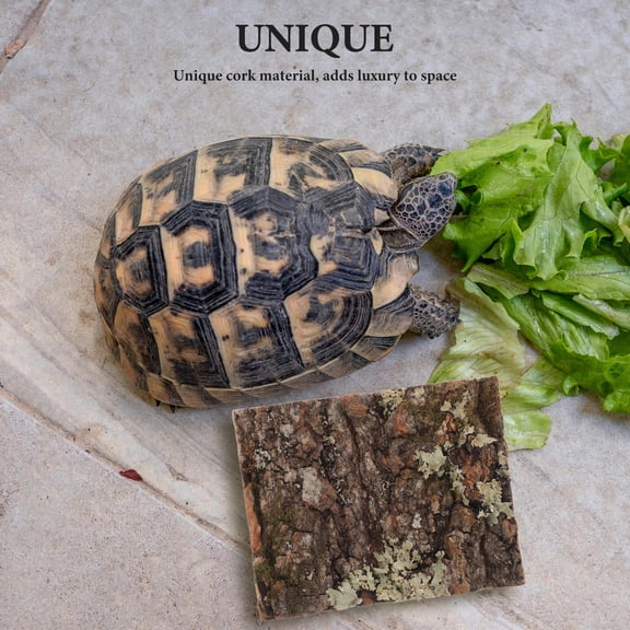 YSNOOWE Reptile Terrarium Bark Decor Dark Brown 1Pcs 3.9X3.1X0.6In