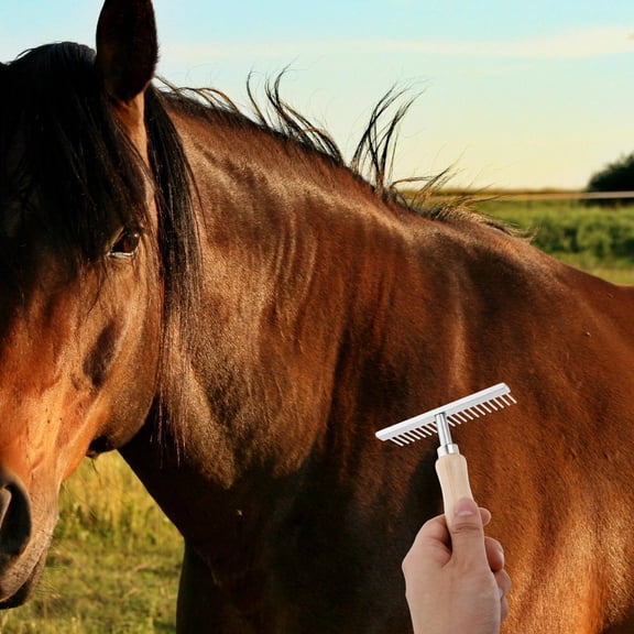 COSMOBETTY Metal Grooming Brush And Dogs 1Pack