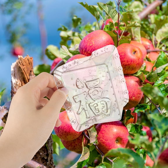 Worgeous Fruit Shaping Mould Vegetable 2Pcs High Strength Pressure Resistance