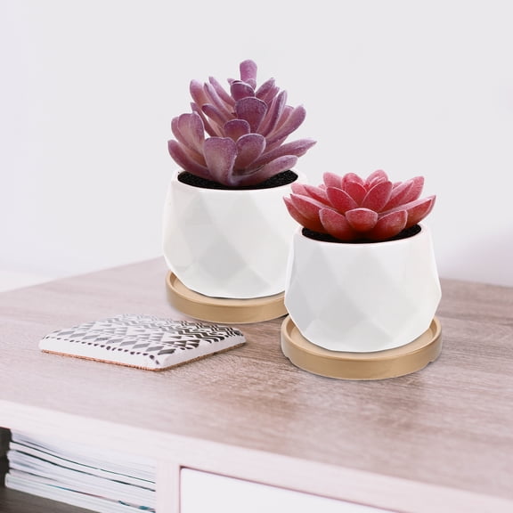 Worgeous Golden Ceramic Flowerpot Base Tray for Garden Storage with Flat Bottom and Durable Design