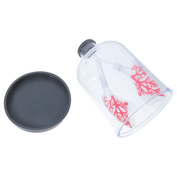 Worgeous Human Lung Anatomical Display Diaphragm Movement Simulator Lung Function Demonstration Model for Science Education Middle School Biology Experiments