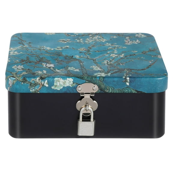 Worgeous Large Key Lock Boxes Storage Box with Lock Travel 17.50X13.00X7.50CM