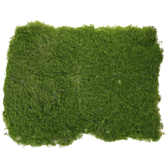 Worgeous Artificial Fern Grass Lawn Mat for Sand Table, Green Decorative Outdoor and Indoor Supply