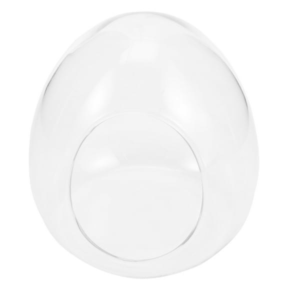 Worgeous  Micro Landscape Glass Bottle Indoor Plants Container Decorative