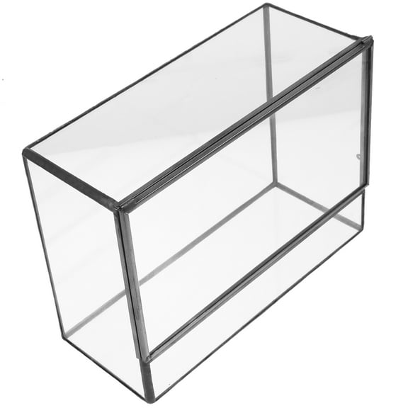 RENACLIPY Glass Terrarium Container for Home and Office, Transparent Landscape Planter for and Air Plants