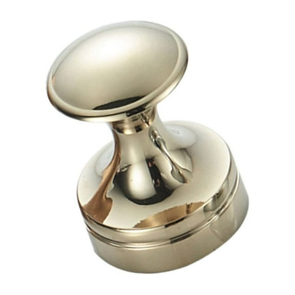 Worgeous Mounted hook for Home Use Made of Brass Material Design Easy to Install with Screw Small Size