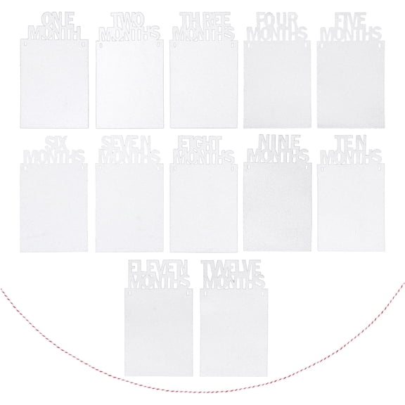 Worgeous Picture Props Months Silver Photo Banner Baby Collage Newborn