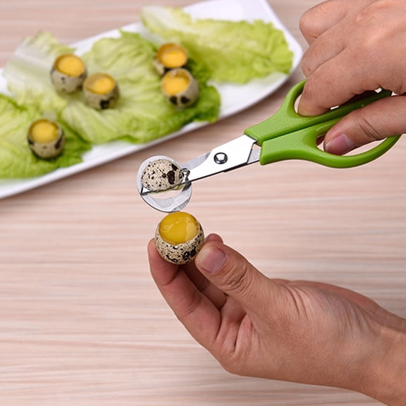 Worgeous Stainless Steel Kitchen Shears with ABS Handle for Cutting Quail Eggs Easily in Green Color 3Pcs