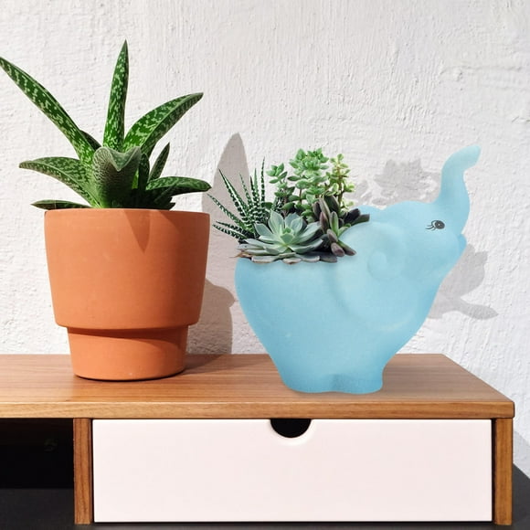Worgeous Succulent Plant Pots Elephant Planter Plants Clay Office Blue