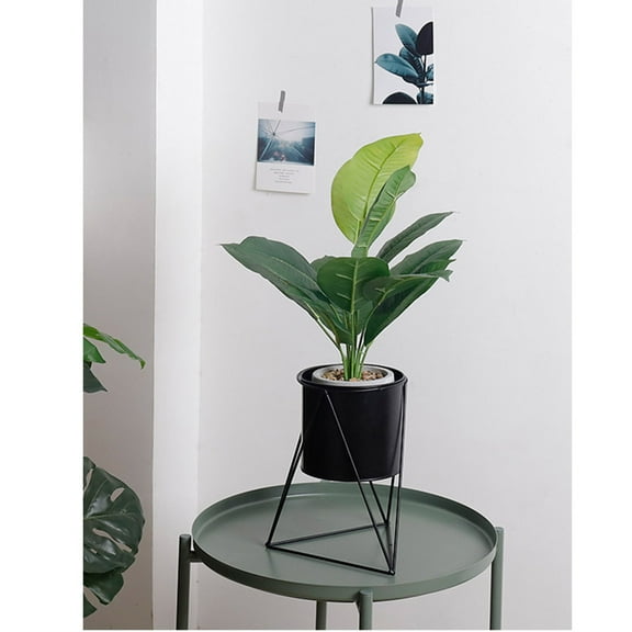 Worgeous Terrarium Plants Indoor Geometric Plant Stand 25.00X25.00X20.00CM Black