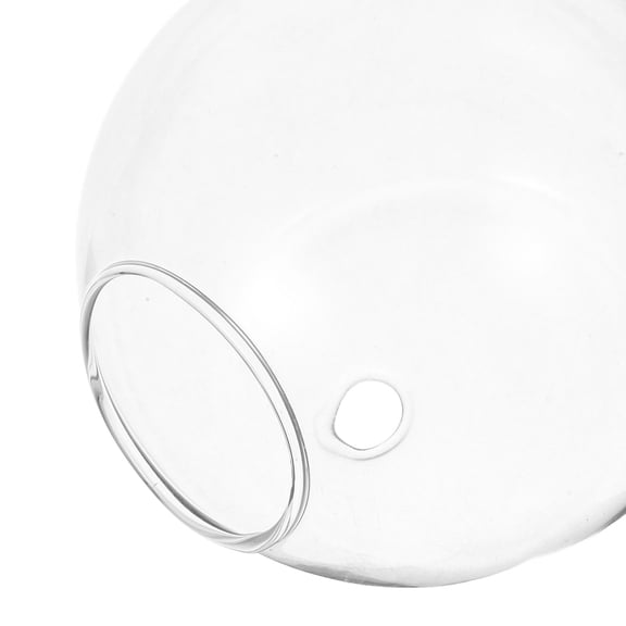 RENACLIPY Indoor Window Succulent Vase Round Globe Wall Hanging Propagation Station