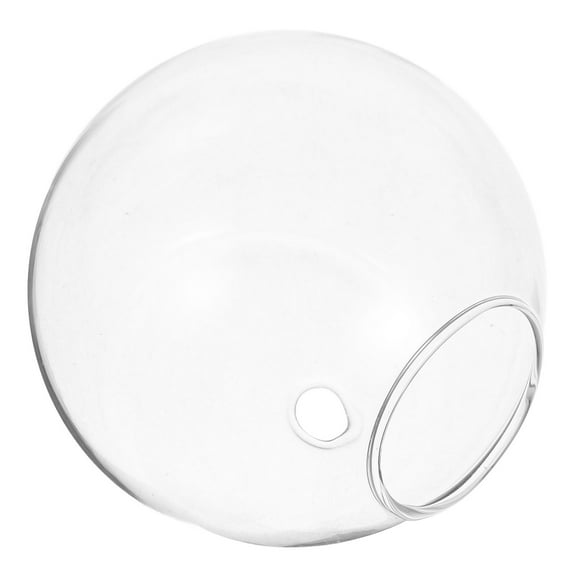 RENACLIPY Indoor Window Succulent Vase Round Globe Wall Hanging Propagation Station