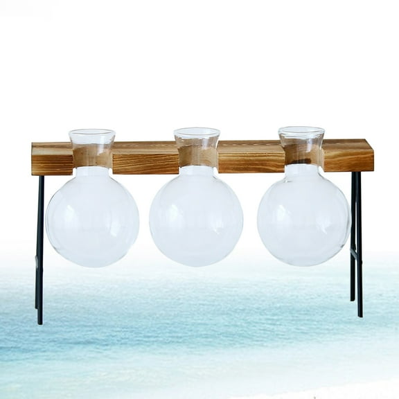 Worgeous White Glass Hydroponic Plant Containers for Garden with Creative Design 3 Terrarium