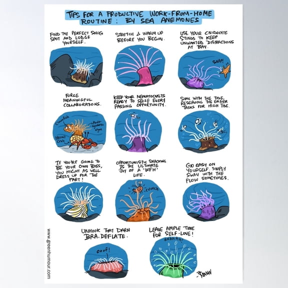 Work From Home Tips By Sea Anemone Poster Wall Art, Modern Wall Decor For Living Room Bedroom, 8x12 UNFRAMED