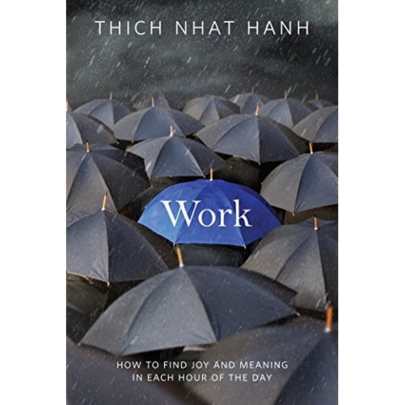 Pre-Owned Work: How to Find Joy and Meaning in Each Hour of the Day (Paperback) 1937006204 9781937006204