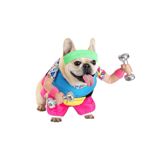 Work Out 1980s Pet Costume