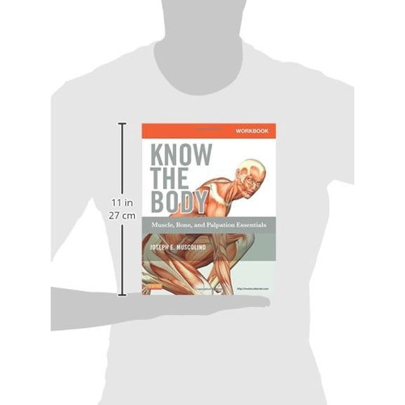 Pre-Owned Workbook for Know the Body: Muscle, Bone, and Palpation Essentials (Paperback) 9780323086837