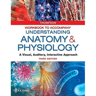 Pre-Owned Workbook to Accompany Understanding Anatomy & Physiology: A Visual, Auditory, Interactive Approach (Paperback) 0803676468 9780803676466