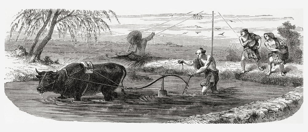 Worker Using A Water Buffalo For The Cultivation Of Rice In Japan In The 19Th Century From El Mundo En La Mano Published 1875 Canvas Art - Ken Welsh Design Pics (44 x 18)