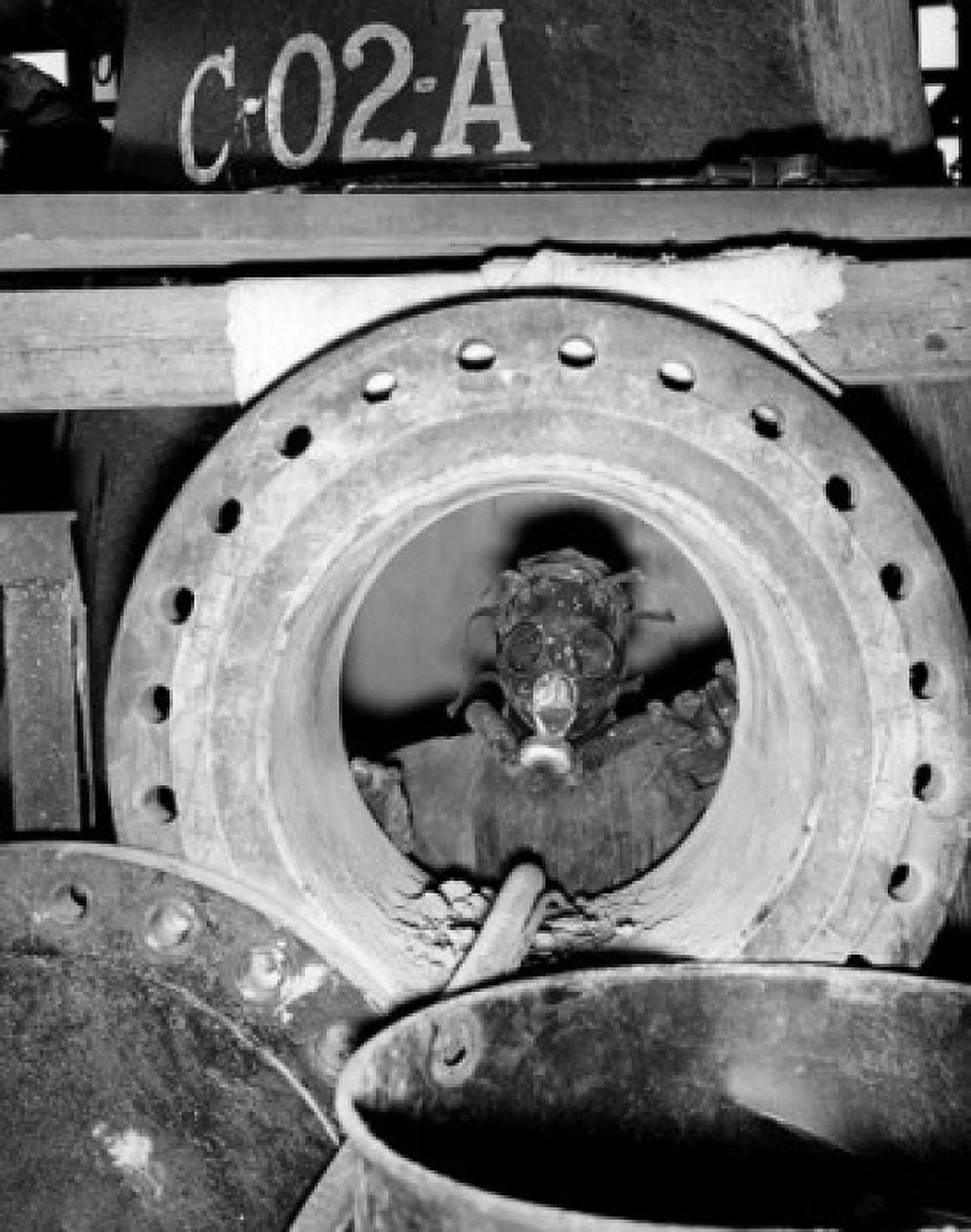 Worker wearing mask in factory Canvas Art - (24 x 36)