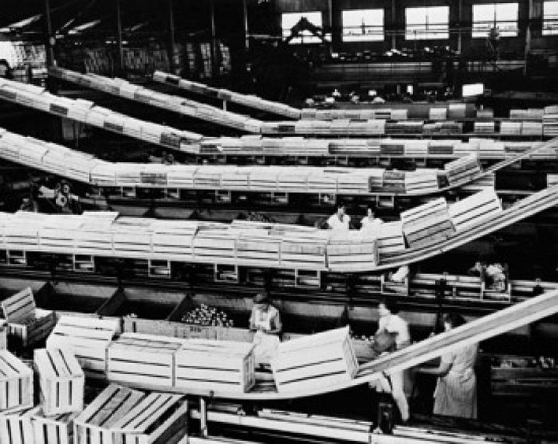 Workers working in a citrus processing plant Florida USA Canvas Art - (18 x 24)