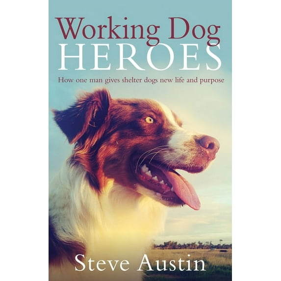 Working Dog Heroes (Paperback)