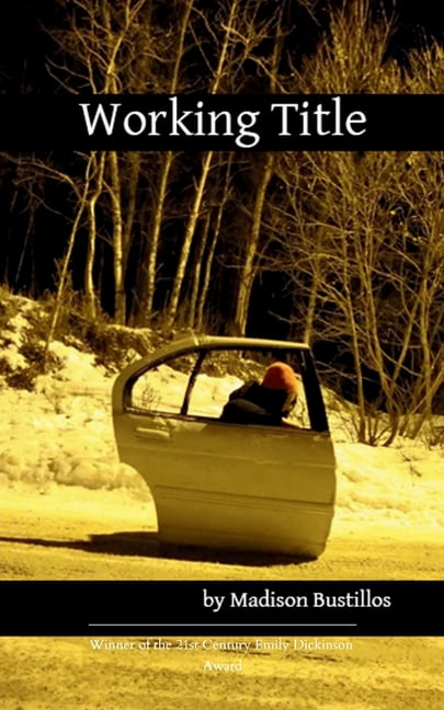 Working Title A Collection of Unfinished Ramblings, (Paperback)