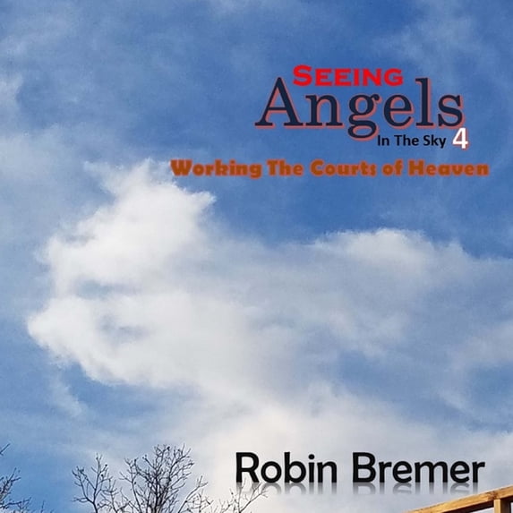 Seeing Angels in the Sky: Seeing Angels in the Sky 4: Working the Courts of Heaven (Paperback)