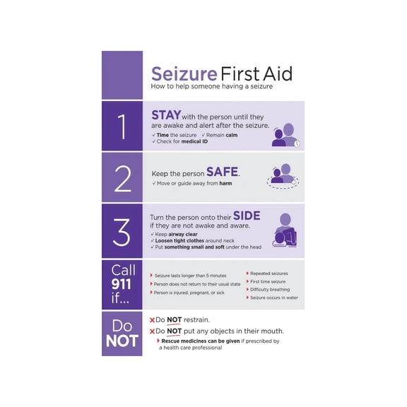 Workplace Safety Poster Epilepsy Seizure First Aid Response Emergency Procedure Guide for Employee Training Office Compliance Home Use