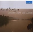 thumbnail image 1 of Works for Violin (Audiobook), 1 of 2