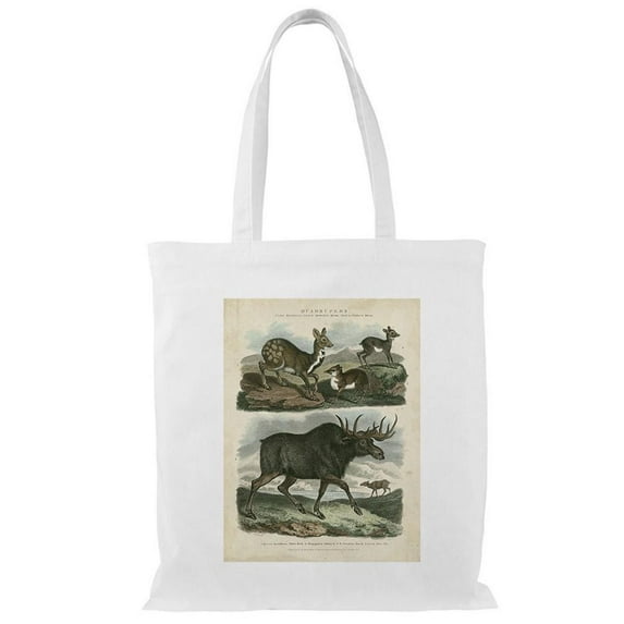 World Art Group Deer And Moose Tote Bag - Sydenham Edwards Designs, One Size Cotton Canvas Tote Bag