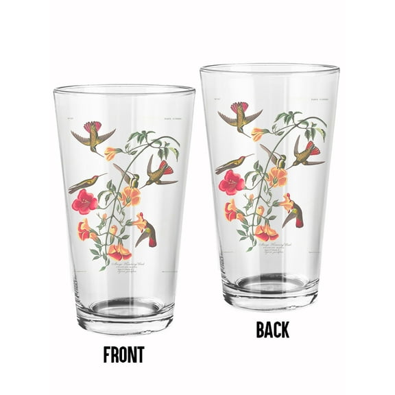 World Art Group Mango Hummingbird Ii Pint Glass -John James Audubon Designs, 16 oz Transparent Glass
