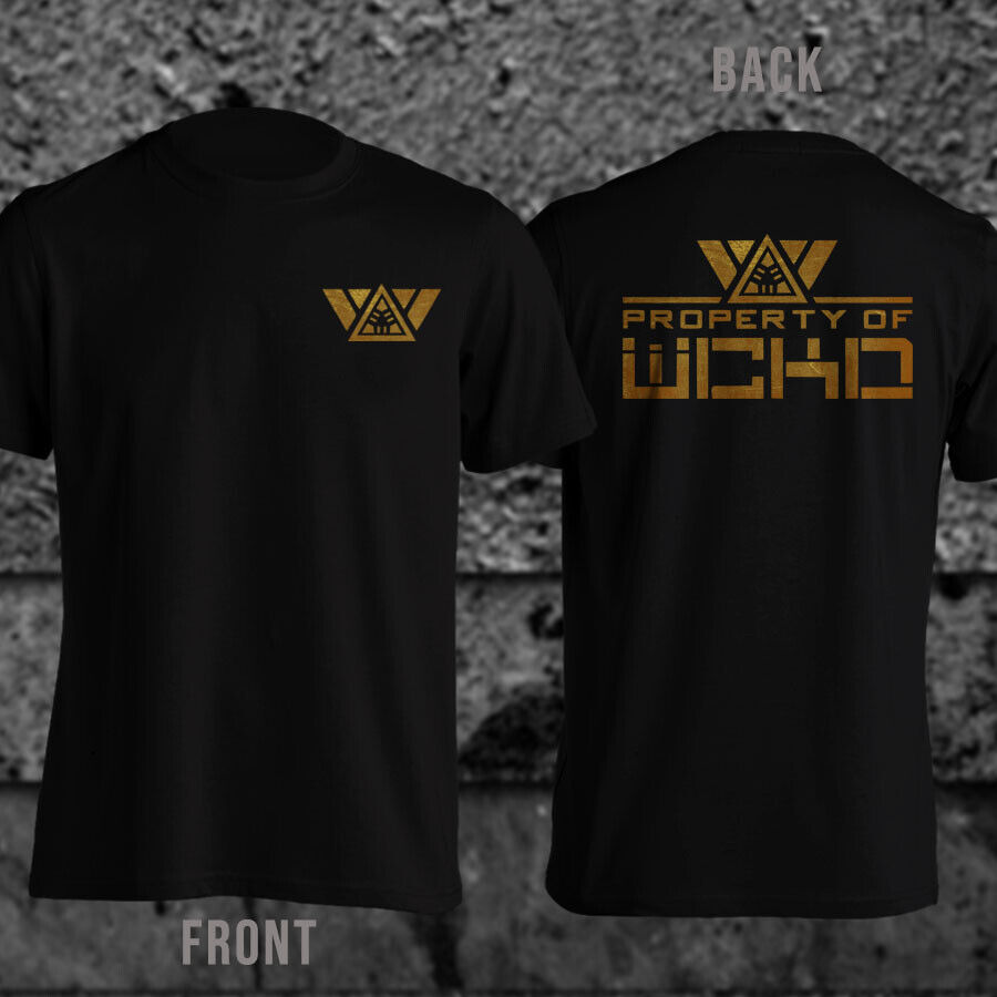 World In Catastrophe Killzone Experiment Department WCKD The Maze