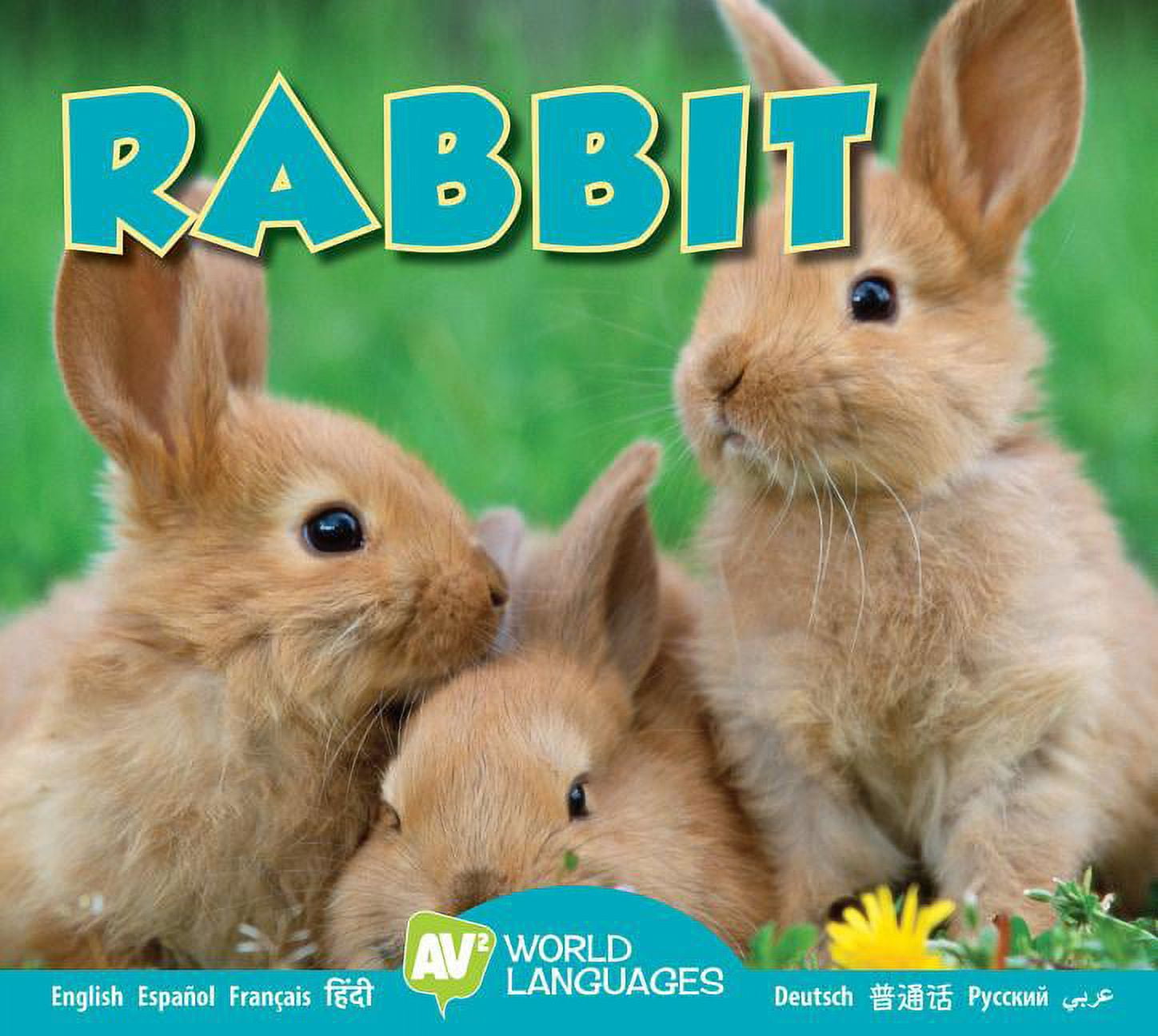 World Languages: Rabbit (Hardcover) - Walmart.com
