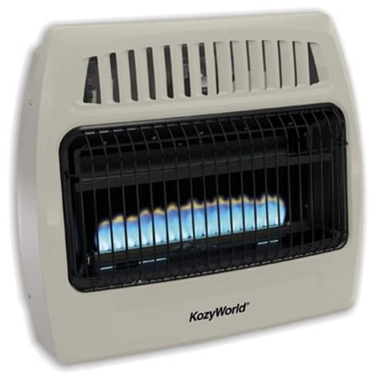 Comfort Glow 30,000 BTU Blue Flame Dual Fuel Wall Heater