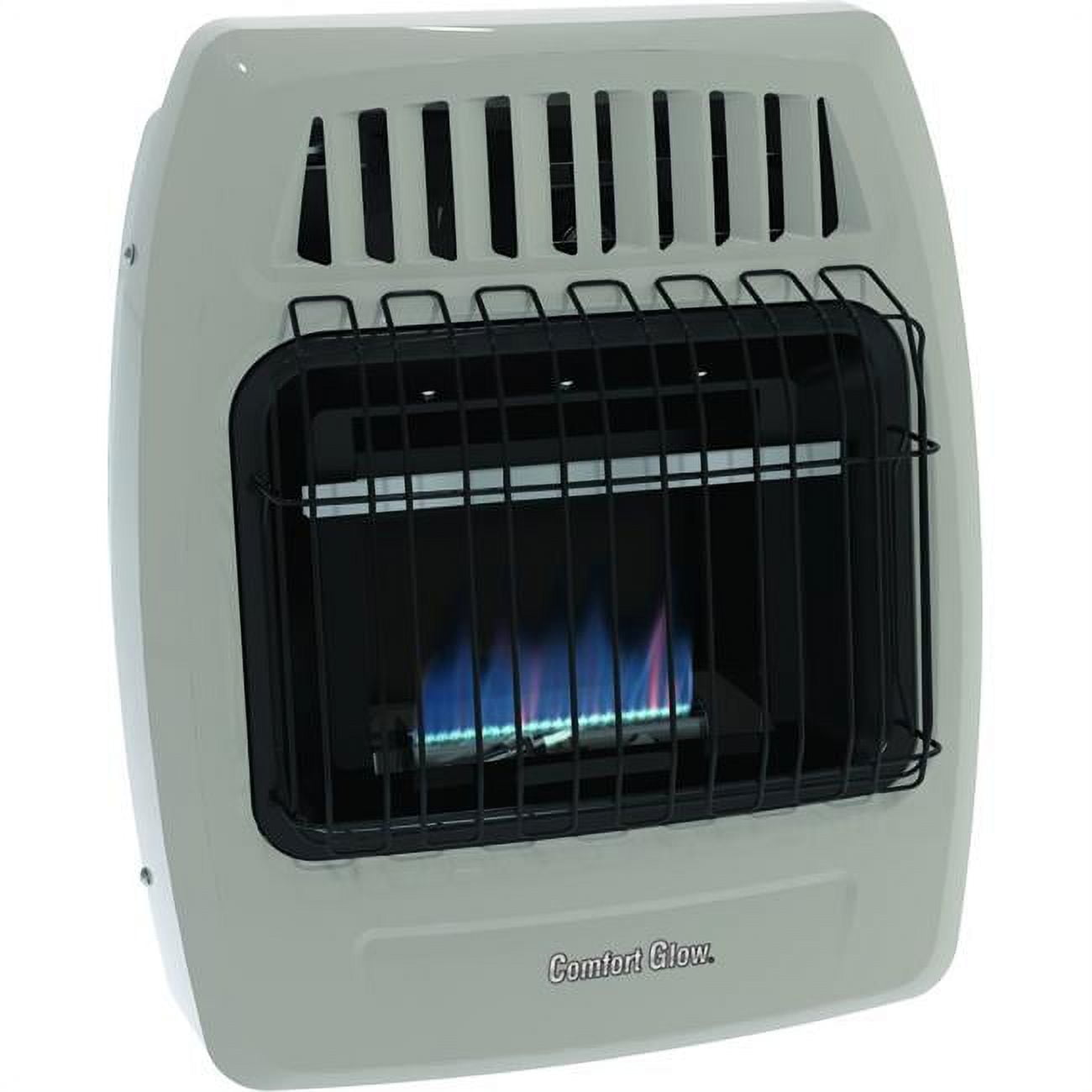 World Marketing of America CGS155 WALL 10000 BTU Dual Fuel Blue Flame