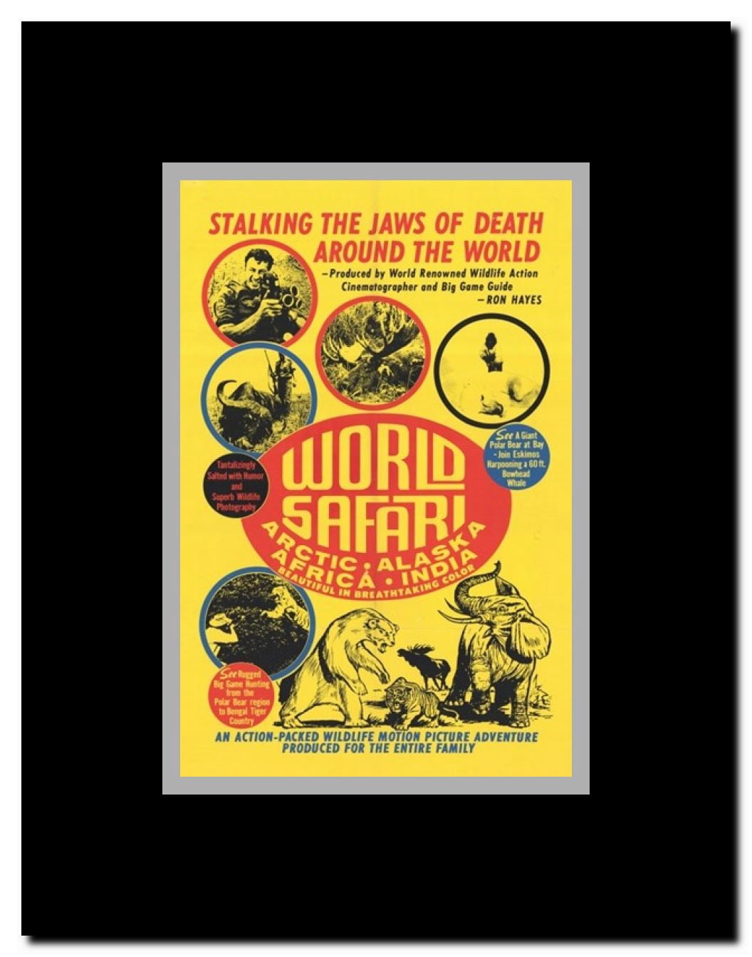 World Safari Framed Movie Poster