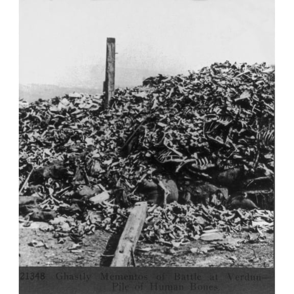 World War 1 Battle Of Verdun. Human Bones Were The Ghastly Mementos Of Battle At Verdun. After The War History