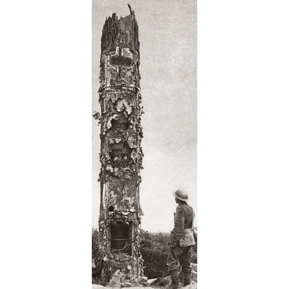 World War I: Camouflage. /Na German Observation Post Concealed Within A Destroyed Tree During World War I. Photograph, 1914-1918. Poster Print by (24 x 36)
