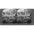 thumbnail image 1 of World War I: French Camp. /Nfrench Troops Relaxing At Camp During World War I. Stereograph, C1916. Poster Print by  (24 x 36), 1 of 1