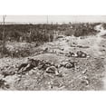 thumbnail image 1 of World War I German Dead. Ngerman Casualties On A Sunken Road Near Moislains France 1918. Photograph. Print by, 1 of 4