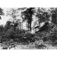 thumbnail image 1 of World War I Tanks. Ntwo Tanks Forcing Their Way Through A Forest In Europe During World War I. Poster Print by, 1 of 3