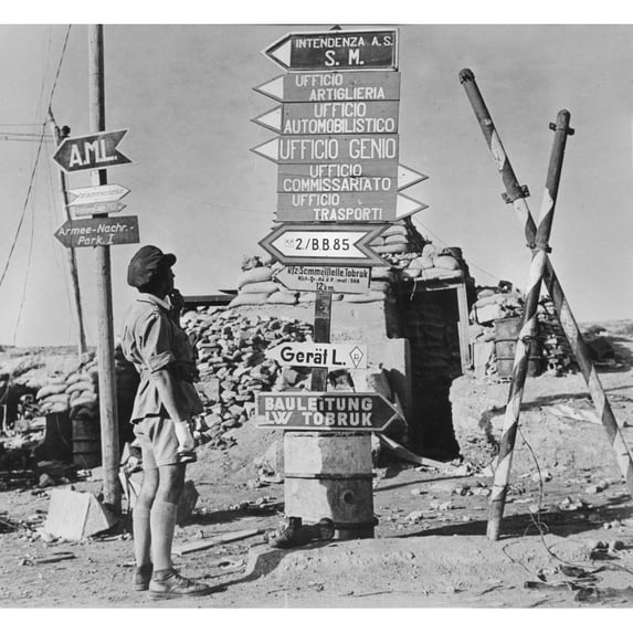 World War Ii History (24 x 18)