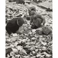 thumbnail image 1 of World War Ii History (24 x 36), 1 of 1