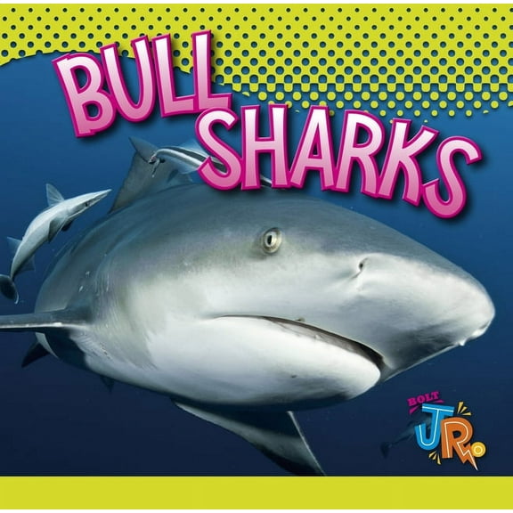 World of Sharks Bull Sharks, (Hardcover)