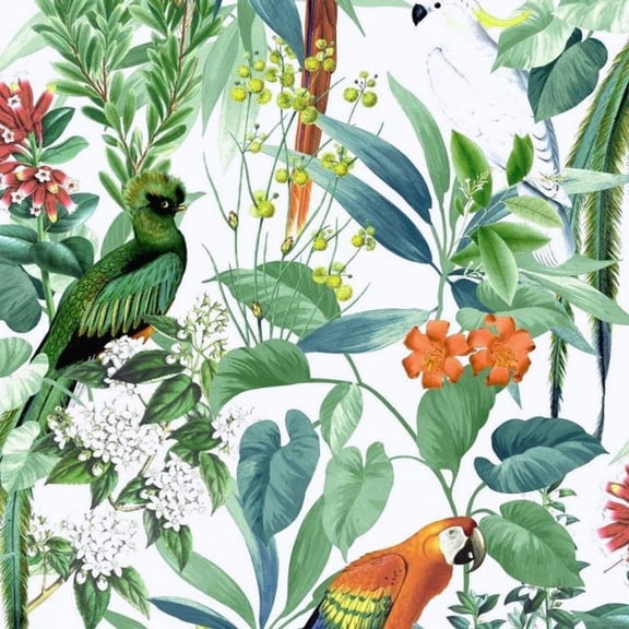 World of Wallpaper Ikala Wallpaper